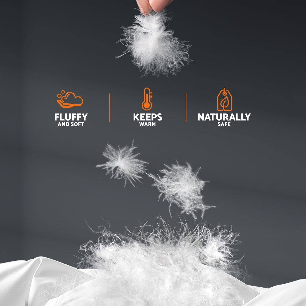 Goose Down Feather Quilt 800GSM - King