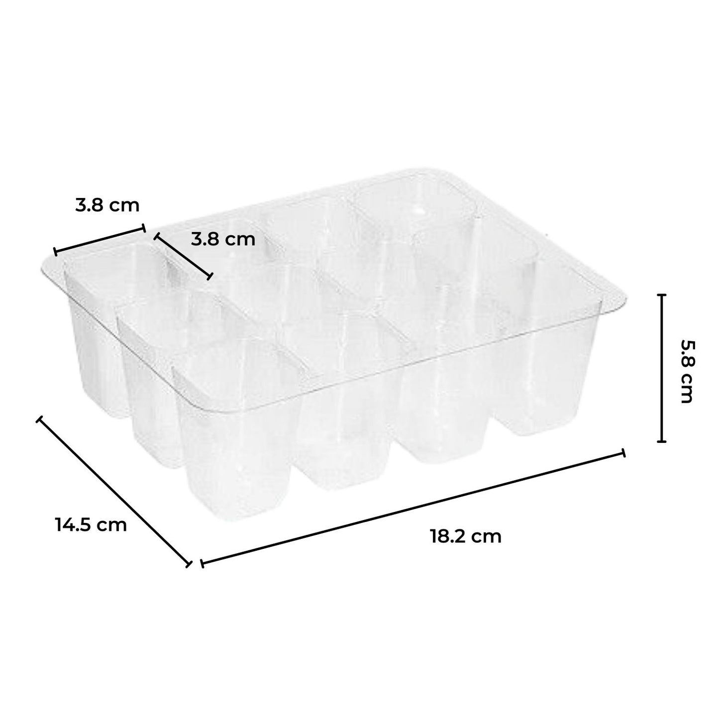 Seed Starter Tray with Grow Light (12 Cells per Tray)