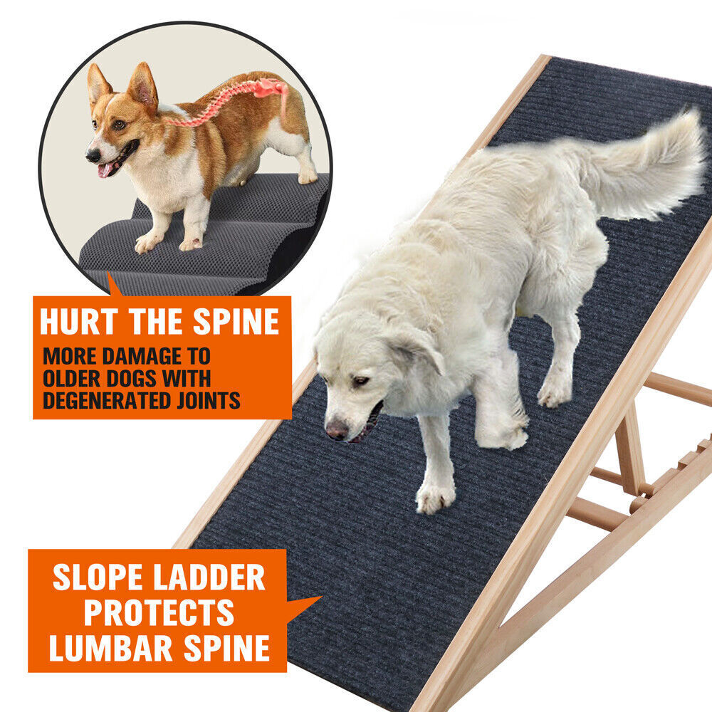 Dog Pet Ramp - Foldable 70cm