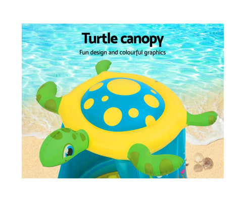 Turtle Play Pool