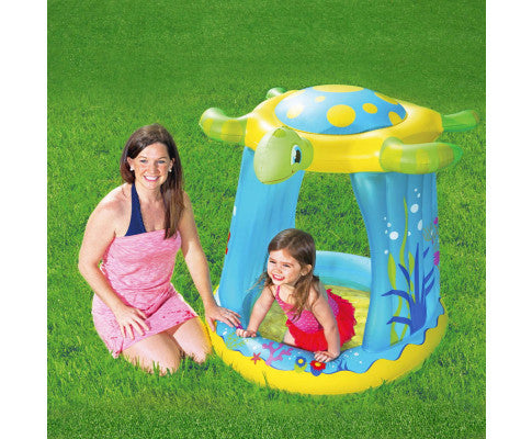 Turtle Play Pool